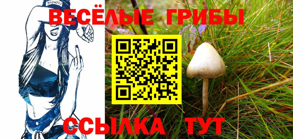 Домодедово  Галлюциногенные грибы GOLDEN TEACHER  Вход с VPN 